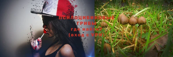 мяу мяу мука Касимов