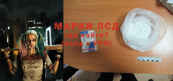 гашик Карпинск