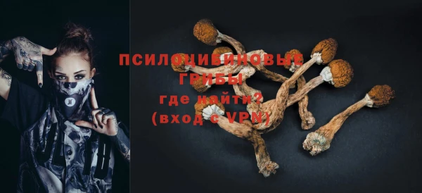 индика Карталы
