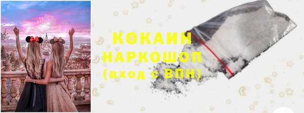 гашик Карпинск