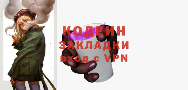 гашик Карпинск