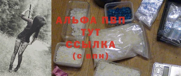 индика Карталы