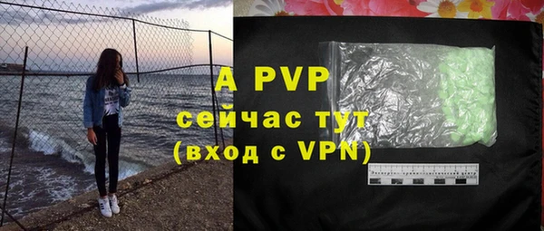 индика Карталы