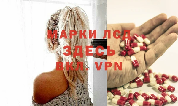 индика Карталы
