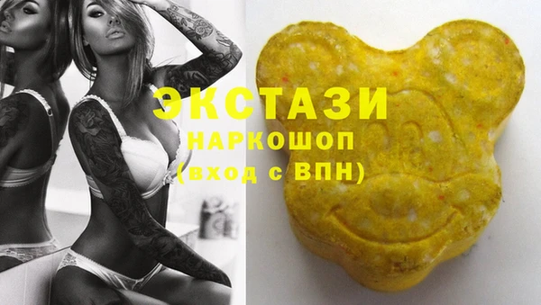 гашик Карпинск