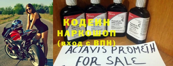 гашик Карпинск