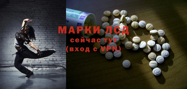 гашик Карпинск