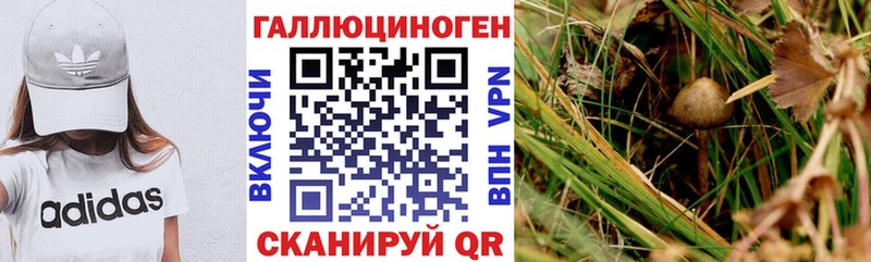 Псилоцибиновые грибы GOLDEN TEACHER  Купить где  Верхоянск 